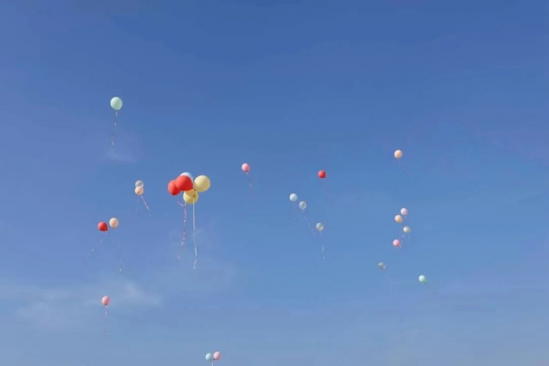 9132fc6f0e4c7cd186d7e2b50720ec13.jpg